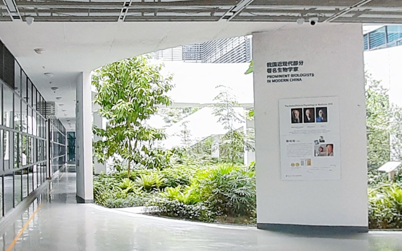 深圳大学沧海校区VR全景展示